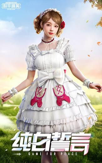 ��ƽ��Ӣ����������װ��ô���_��ƽ��Ӣ����������װͼ��һ��