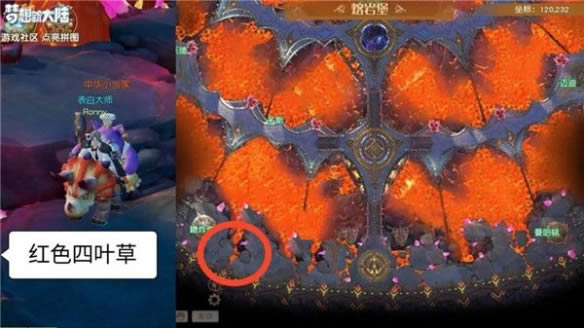 �����´�½����������Ҷ��������_�����´�½����������Ҷ��������ô��