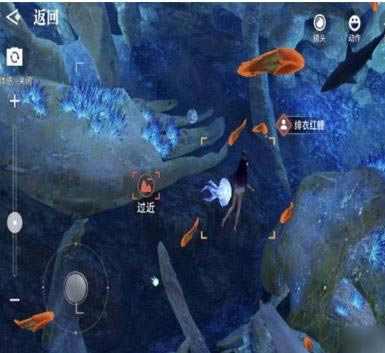 ���������Ĺ⾨������_���������Ĺ⾨��λ��һ��