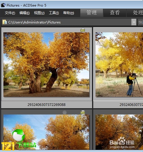 acdsee3.1������ɫ��Ѱ�