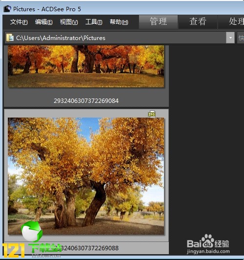 acdsee3.1������ɫ��Ѱ�