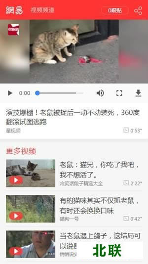 网易视频播放器下载安装到手机