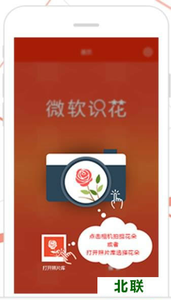 微软识花官方安卓版下载app下载安装