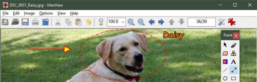 irfanview v4.52.0.0 ���İ�