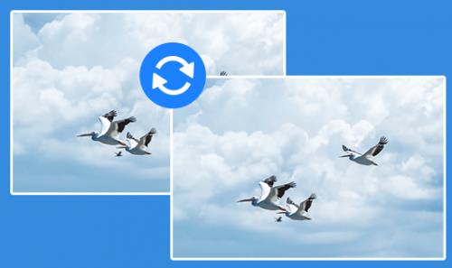 ƻ��HEICͼƬת���� v1.0 ��ɫ��