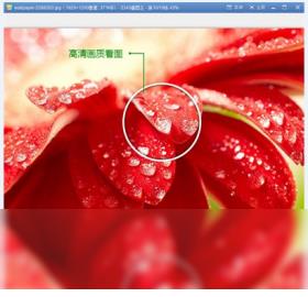 2345��ͼ���ٷ���_2345��ͼ����ǿ��