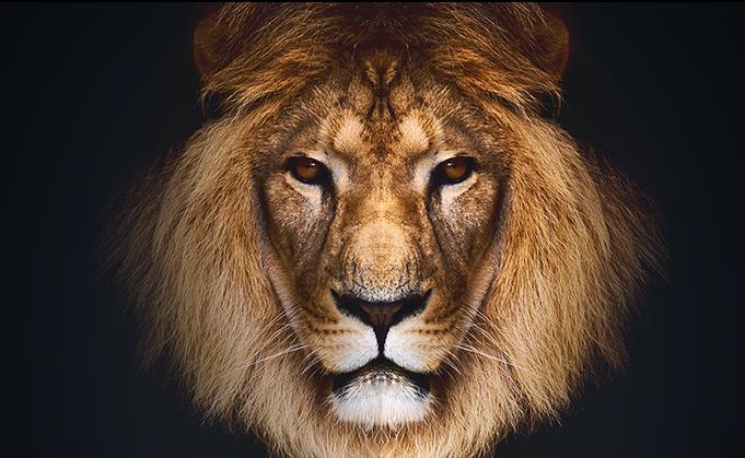 ABC��ͼ������Ѱ�����_��ɫ��ʽ������