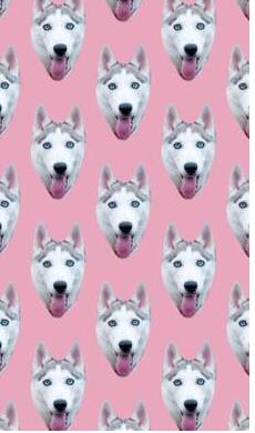 ������ͼ����ֽ��������ʲô_�ܶ���ͷ�Ŀ�ͼAPP��������