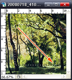 photoshop�е�ѡ�򹤾���ôʹ�ã�