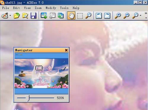 ACDsee15���İ�������ؽ�ͼ2