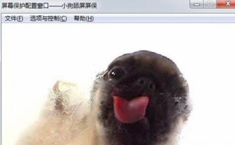 狗狗舔屏动态屏保绿色版免费下载_正式版免费下载