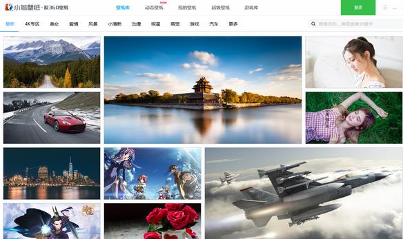 小鸟壁纸电脑桌面版下载_官方正式版免费下载