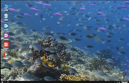 С���ֽ�ٷ���ɫ���������_������ʽ���������