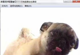 狗狗舔屏动态屏保电脑端下载_官方版免费下载