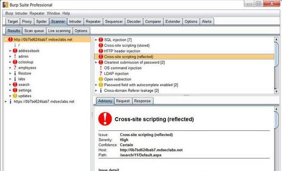burpsuite官方正式版免费下载_PC电脑版免费下载