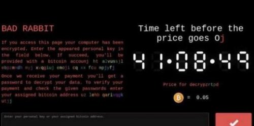 bad rabbit�����������߹�������_��ʽ���������