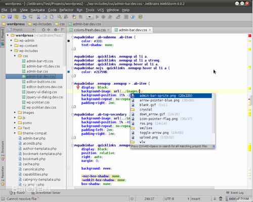 phpstorm�ٷ���ʽ������