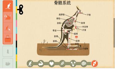 tinybop���鶯��1.0.1��ʽ������