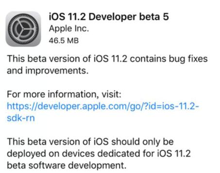 ios11.2.5固件免费下载_ios11.2.5正式版免费下载
