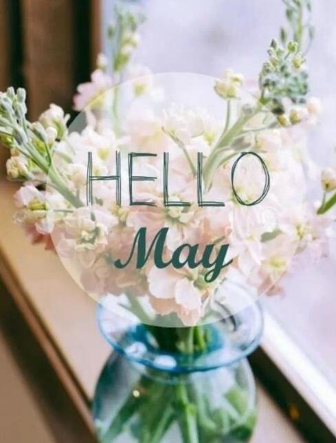 �����ټ������������Ȧ˵˵ͼƬ��ȫ_Ψ������̾���ͼƬ