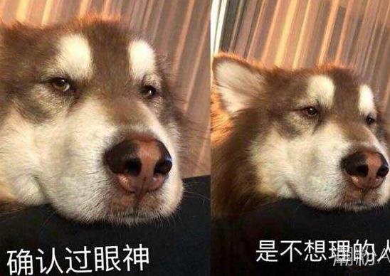 ����ȷ�Ϲ������Ц���������_������ˮӡ��