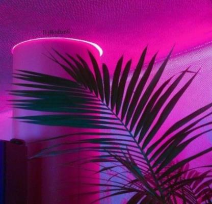 �������ȿ���BGM��ʲô_����rrrrrrttttԭ������