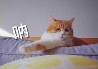 ����������·����_��ô�������õ�����Щ������·