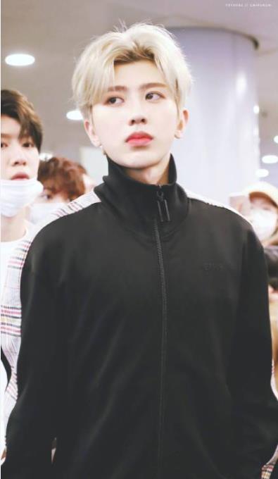 ������������ɼ�������������ͼƬ