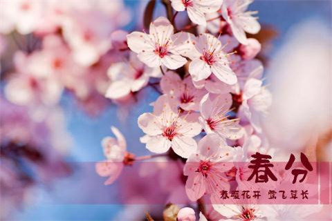 2018���ֵ���������ͼƬ��ȫ ���ֿ���ͼƬ