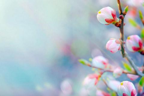 2018���ֵ���������ͼƬ��ȫ ���ֿ���ͼƬ