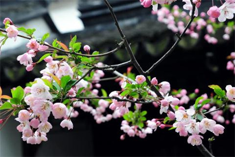 2018���ֵ���������ͼƬ��ȫ ���ֿ���ͼƬ