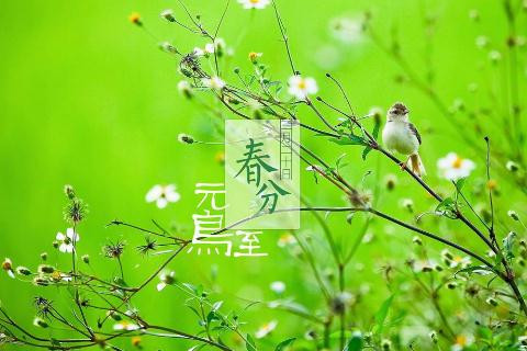 2018���ֵ���������ͼƬ��ȫ ���ֿ���ͼƬ