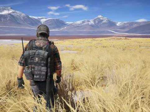 ��Ұ�ж��������ɫ������_���ӱ���PC������