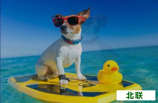 2345��ͼ�������ֻ���