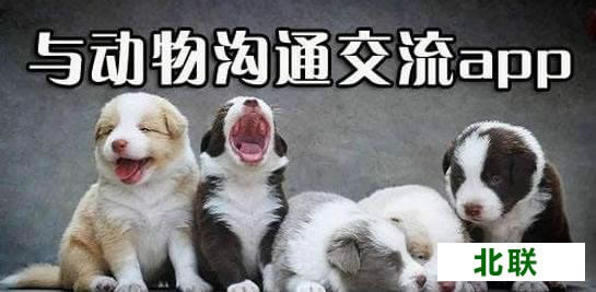 ���﷭�������İ����ش�ȫ