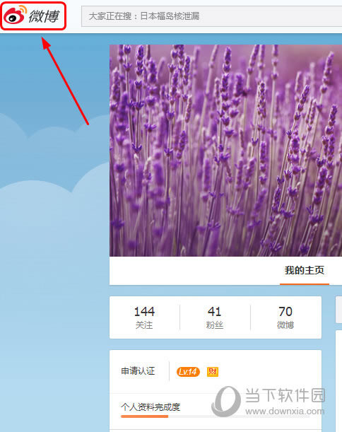 ��ҳ��΢���ش���ҳ��ť