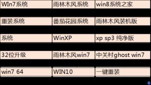 ��Ѷ���Թܼ�