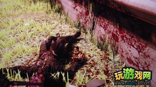 ��������������ޡ�ͼ�Ĺ���