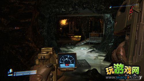 �����Σ�ֳ����������ĵ�