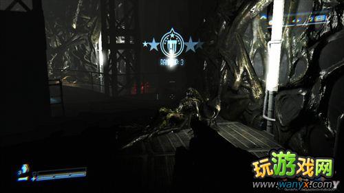 �����Σ�ֳ����������ĵ�