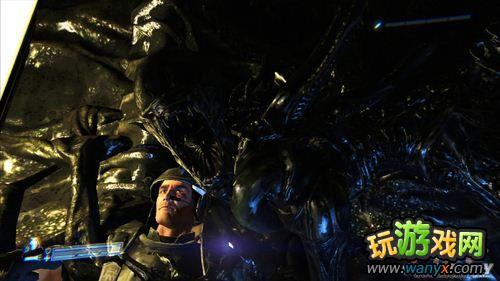 �����Σ�ֳ����������ĵ�