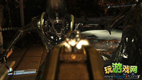 �����Σ�ֳ����������ĵ�