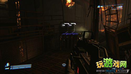 �����Σ�ֳ����������ĵ�