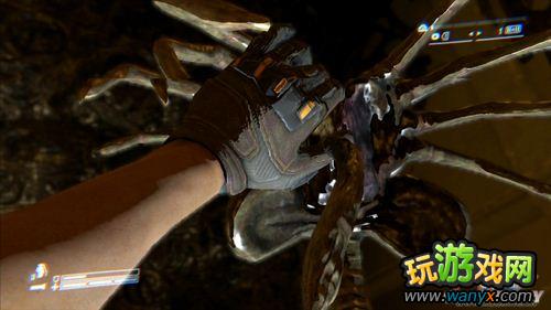 �����Σ�ֳ����������ĵ�