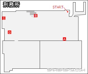 ������5���������̹���