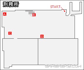 ������5���������̹���