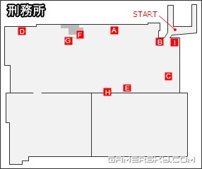 ������5���������̹���