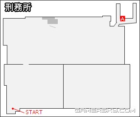 ������5���������̹���