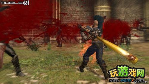 ���汱����˫��ͼ�Ľ���