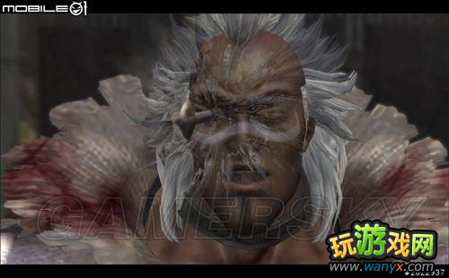 ���汱����˫��ͼ�Ľ���